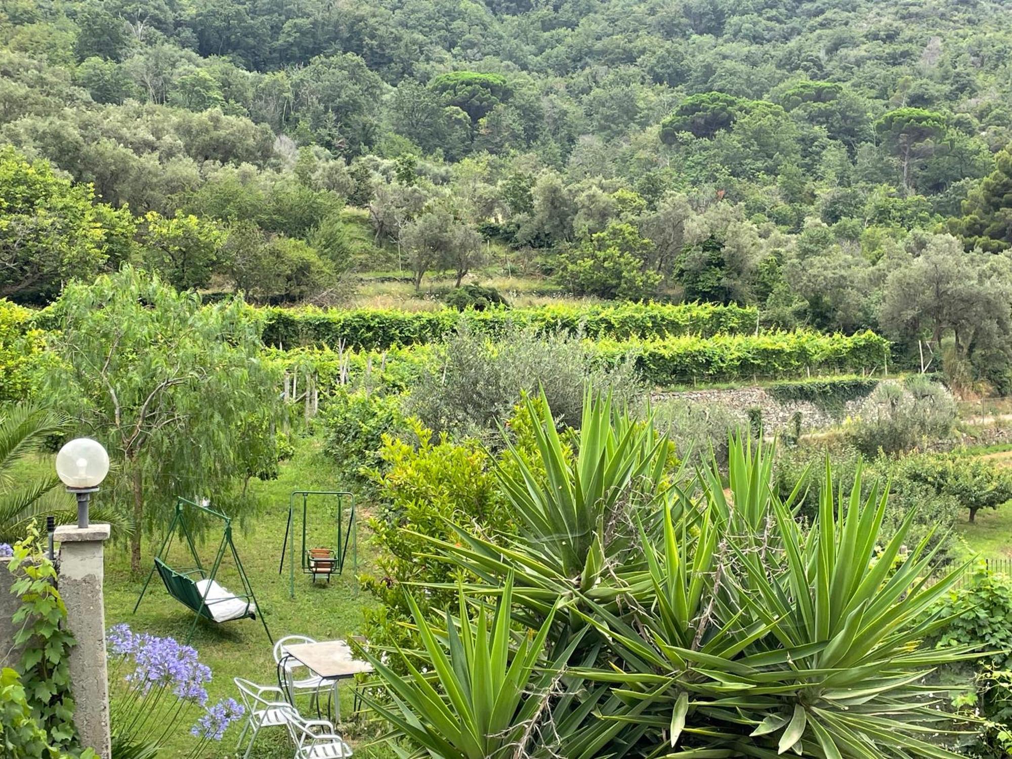 Agriturismo Barilaro Finale Ligure Exteriör bild