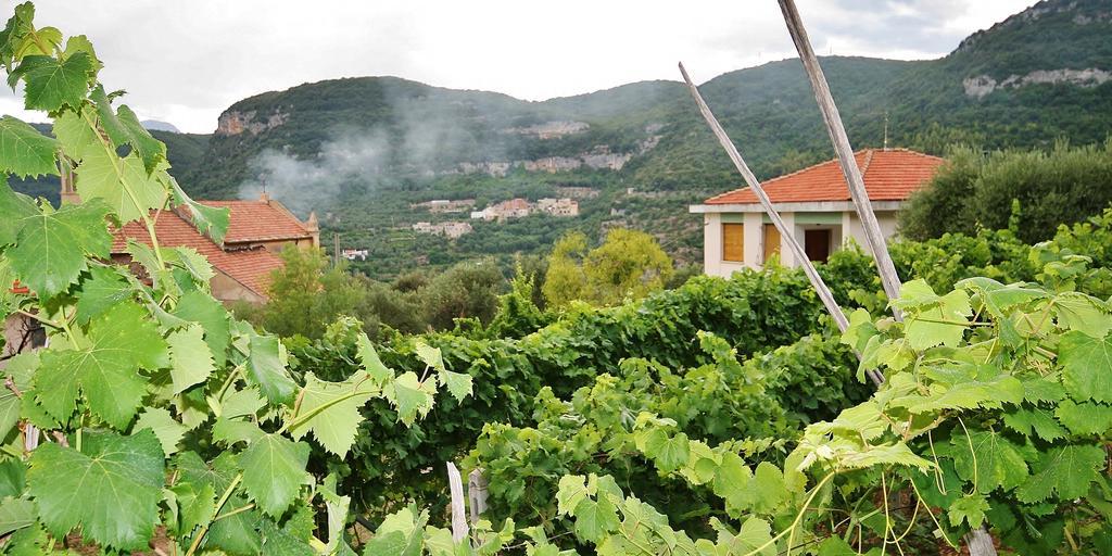 Agriturismo Barilaro Finale Ligure Exteriör bild